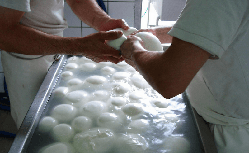 milgiore-mozzarella-di-bufala-mozzatura-flyingmozzarella